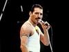 …. Gedenkveranstaltung zum Todestag von Freddie Mercury……..