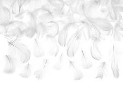Plume décorative blanche