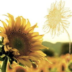 Servietten Zelltuch Dämmerung Sonnenblume