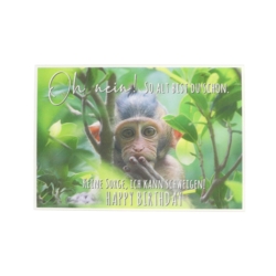 Geburtstagskarte Oh nein So alt bist du schon  