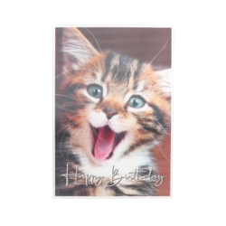 Geburtstagskarte Happy Birthday 