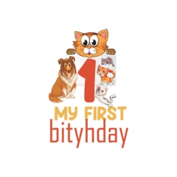 Bügelbild My First Birthday