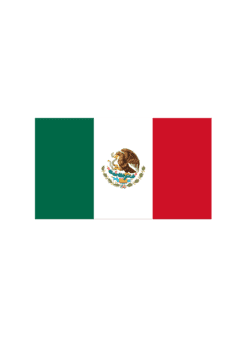 Bügelbild Mexiko Flagge
