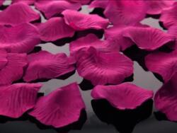 Pétales de roses roses 500 pièces
