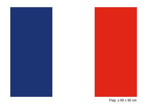SALE Flagge am Stab Frankreich, 76 cm, Polyester - Partybedarf