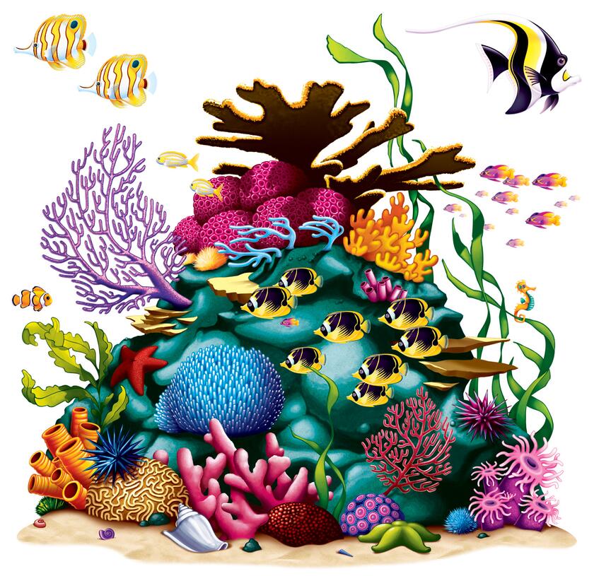 Décoration murale récif de corail