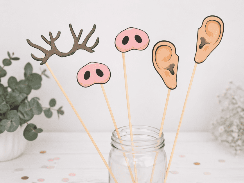 Fotobox Accessoires Party Fotospass