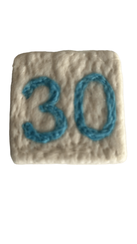 Geburtstagsgeschenk 30 Jahre Filzseife Handgemacht Zahl 30 Hellblau