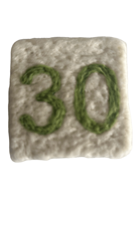 Geburtstagsgeschenk 30 Jahre Filzseife Handgemacht Zahl 30 Grün