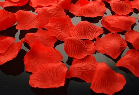 Rosenblätter Rot 500 Stück