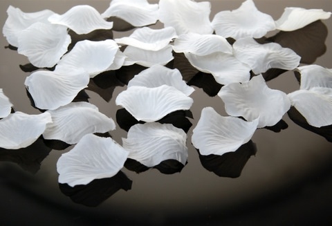 Pétales de roses blanches 500 pièces