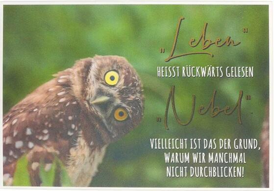 3D karte Leben heisst rückwärts gelesen Nebel