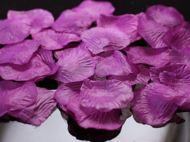 Pétales de rose violet clair