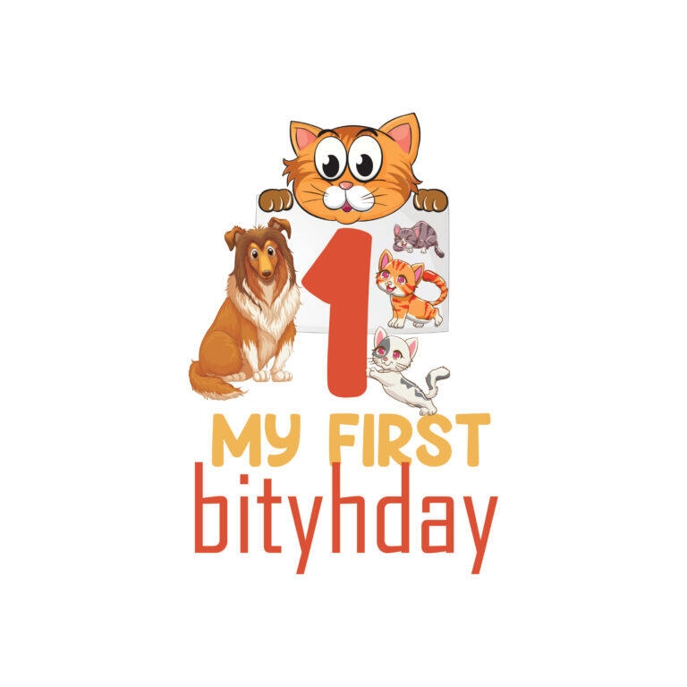Bügelbild My First Birthday