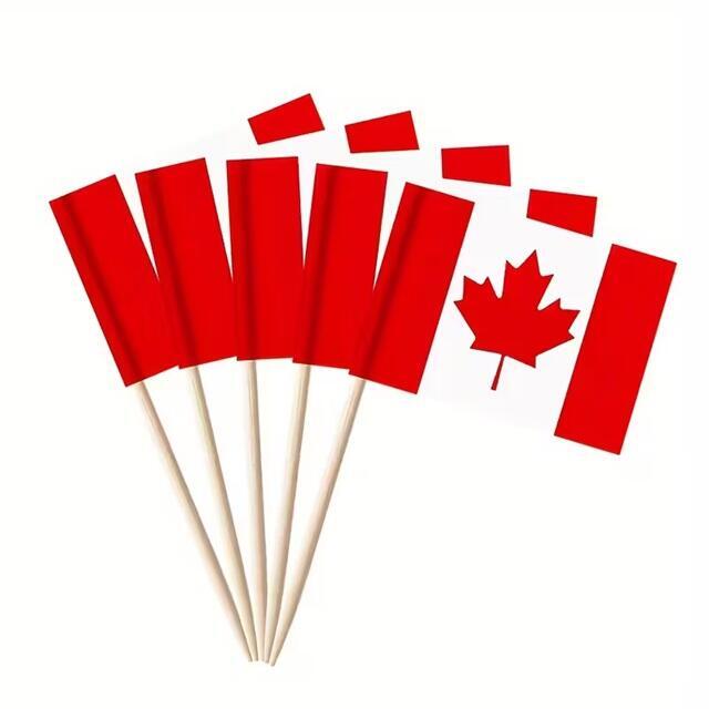 Pics drapeaux américains 100 pièces