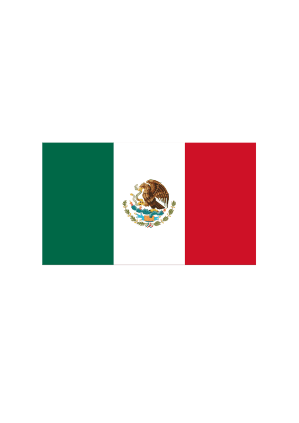 Bügelbild Mexiko Flagge