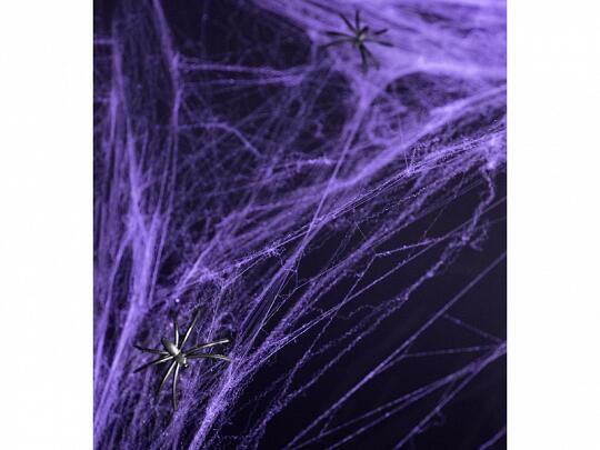 Toile d&#39;araignée Halloween violet