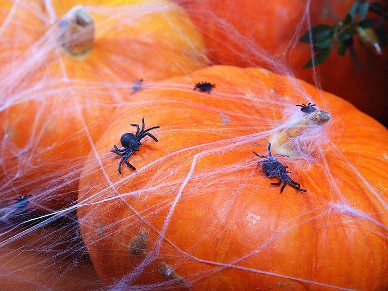 Halloween Spinnennetz weiss