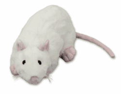 Kuscheltier Ratte