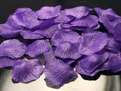 Pétales de roses violets