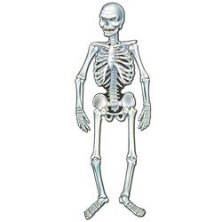Squelettes suspendus 112cm
