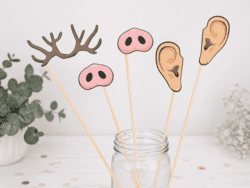 Fotobox Accessoires Party Fotospass