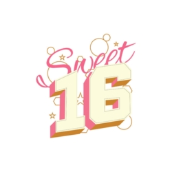 Bügelbild Sweet 16