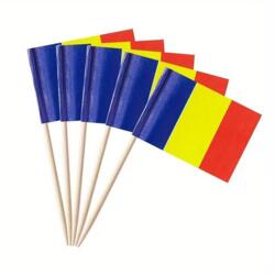 Pics drapeaux américains 100 pièces