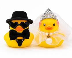 Hochzeitsenten Brautpaar
