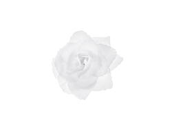 Roses autocollantes blanches